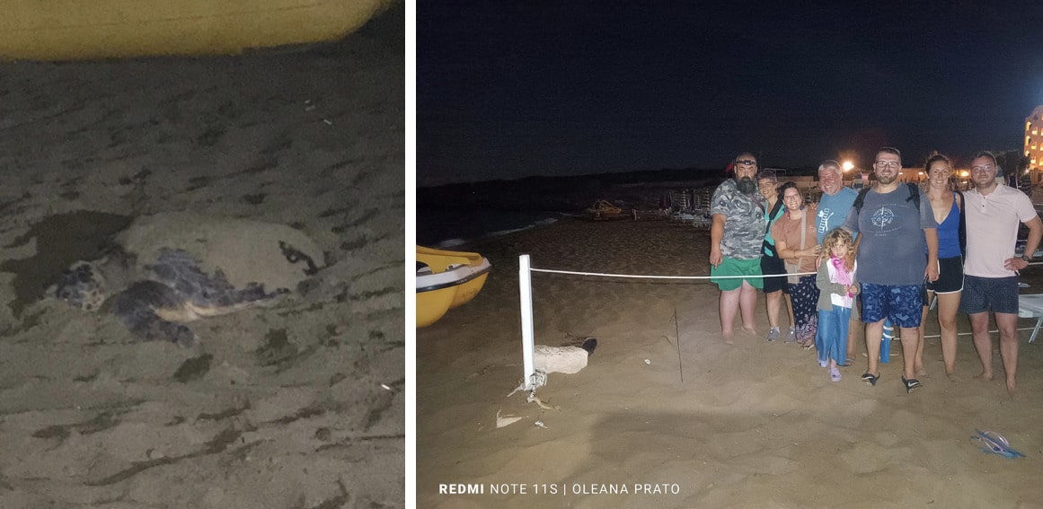 Noto, altra deposizione di caretta-caretta: ad avvistarla una bambina. Sul posto il Wwf Sicilia Sud Orientale